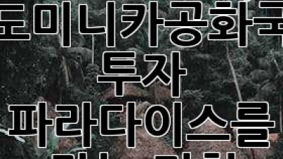 🌴 도미니카공화국 투자: 파라다이스를 잡는 기회! 💰