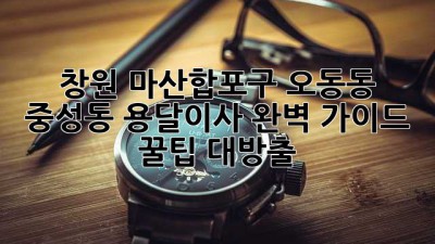 창원 마산합포구 오동동 중성동 용달이사🚚 완벽 가이드: 꿀팁 대방출🍯