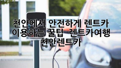 천안에서 안전하게 렌트카 이용하는 꿀팁 🚗💨 #렌트카여행 #천안렌트카
